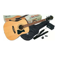 قیمت خرید فروش Ibanez V50NJP NT